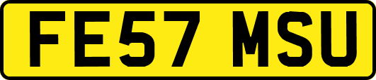 FE57MSU