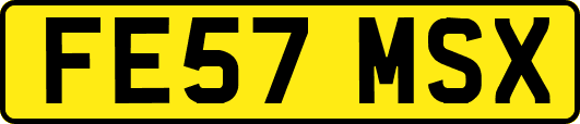 FE57MSX