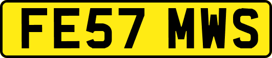 FE57MWS