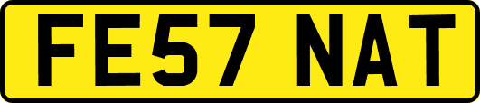 FE57NAT