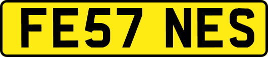 FE57NES