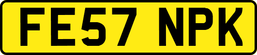 FE57NPK