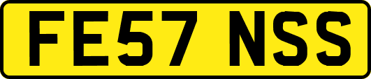 FE57NSS
