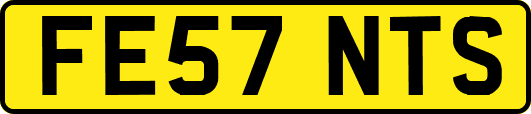 FE57NTS