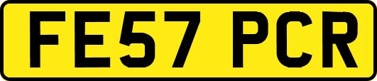 FE57PCR