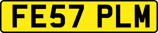 FE57PLM