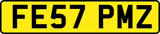 FE57PMZ