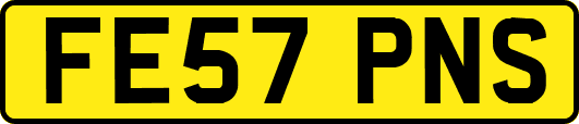 FE57PNS