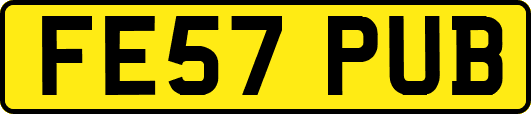FE57PUB