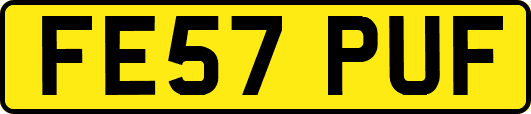 FE57PUF