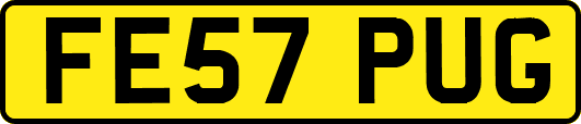 FE57PUG