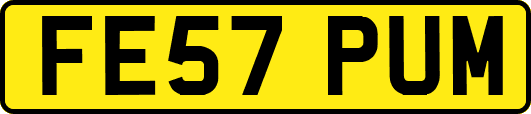 FE57PUM