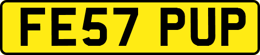 FE57PUP