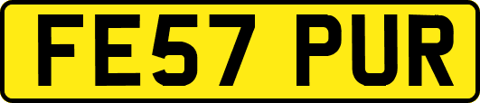 FE57PUR