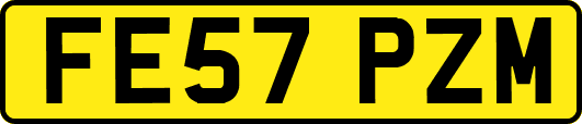 FE57PZM