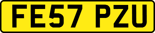 FE57PZU