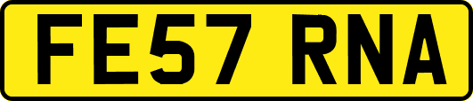 FE57RNA