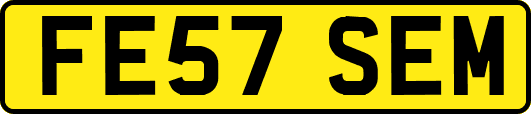 FE57SEM