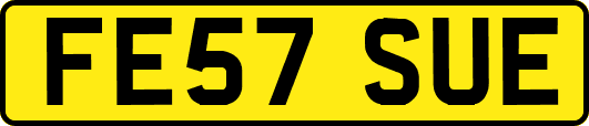 FE57SUE