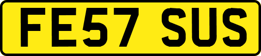 FE57SUS