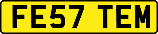 FE57TEM