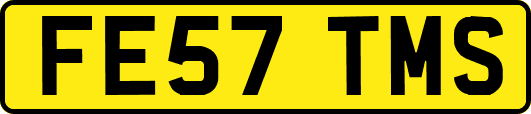 FE57TMS