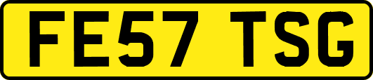FE57TSG