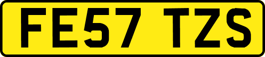FE57TZS