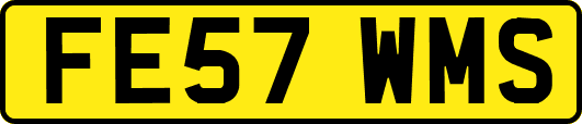 FE57WMS