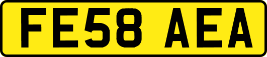 FE58AEA