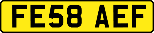 FE58AEF