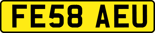 FE58AEU