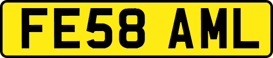 FE58AML