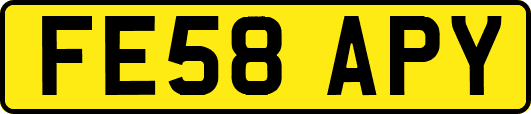 FE58APY