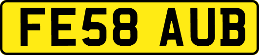 FE58AUB