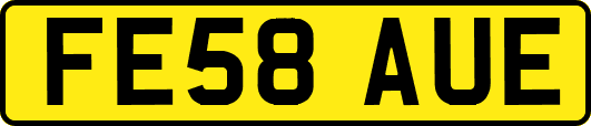 FE58AUE