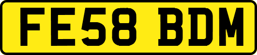 FE58BDM