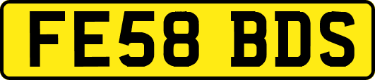 FE58BDS