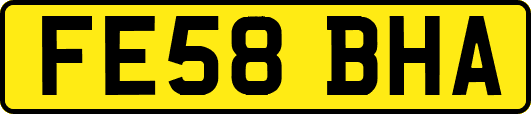 FE58BHA
