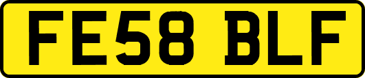 FE58BLF
