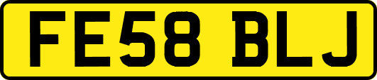 FE58BLJ