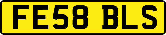 FE58BLS