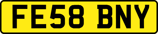 FE58BNY