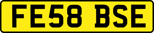 FE58BSE