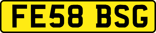 FE58BSG