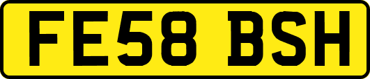 FE58BSH
