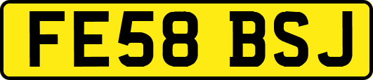FE58BSJ