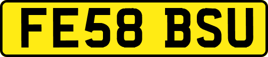 FE58BSU
