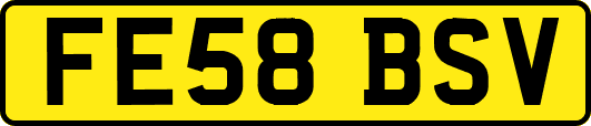 FE58BSV