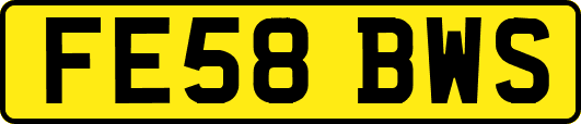 FE58BWS
